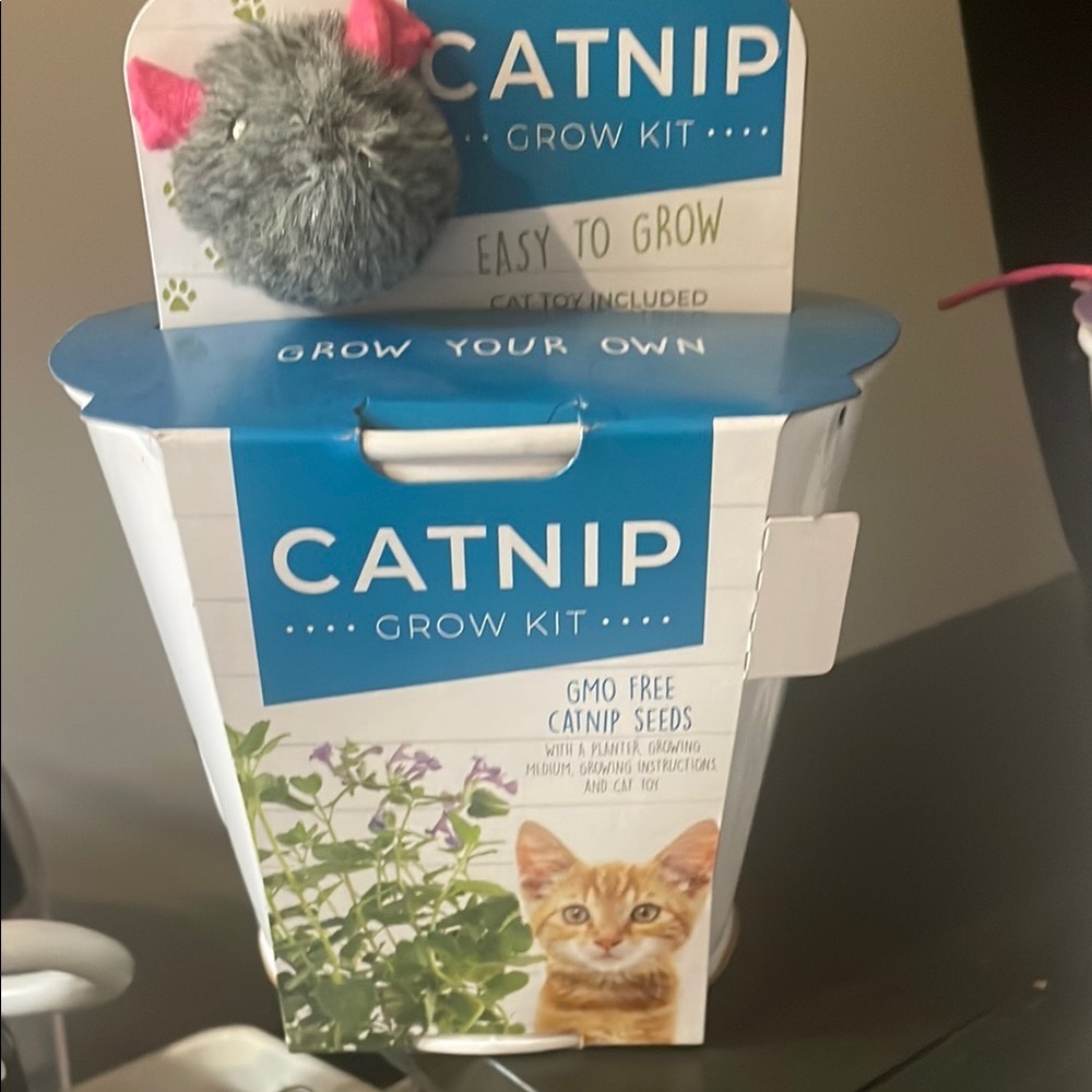 Catnip Grow Kit with Gray and Pink Toy